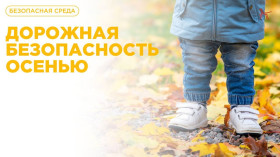 Дорожная безопасность осенью: на что обратить внимание?.